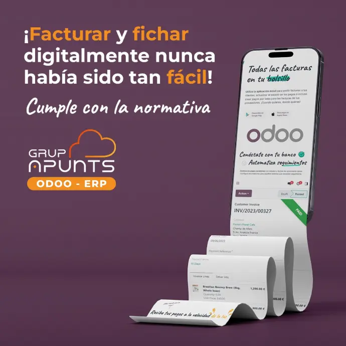 Programa facturación electrónica